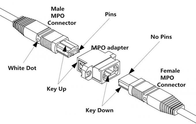Tipo di cavo del tronco della fibra MPO del PVC LSZH 8/12/24 polarità MP millimetro di B 1